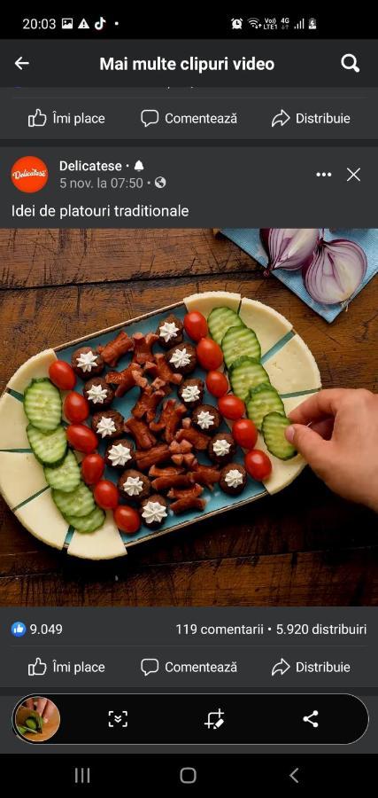 Pensiunea Ronicson Milostea エクステリア 写真